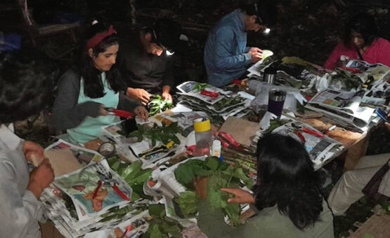 Alianza con el Instituto de Naturaleza, Tierra y Energía PUCP